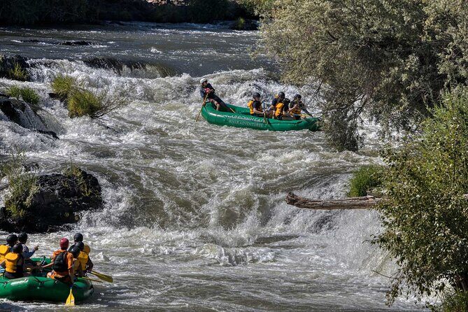 Rogue River Half Day Whitewater Trip Nugget Falls - Who Should Consider This Trip?