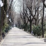 Roma Culture, Realities and Slavery History, Walking tour - Landmark Visits and Their Significance