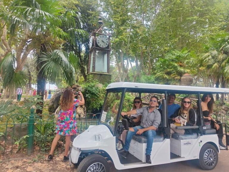 Roma:3hour private GolfCart tour & Artisanal ice cream . - What to Expect in Terms Practicalities