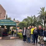 Roman Catacombs Guided Tour with Transfer from Rome Center - The Transfer and Logistics