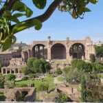 Roman Forum and Palatine Hill Access - Practical Aspects of the Tour