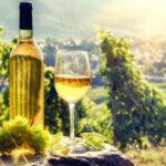 Romanian Wine Tasting - Who Would Love This Tour?