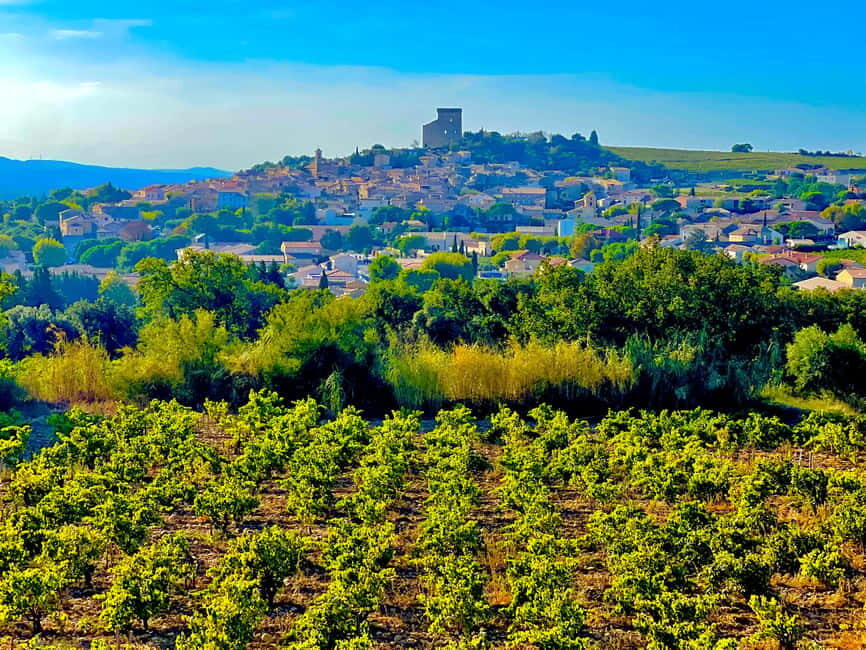 Romans and Wine - The Charm of Chateauneuf du Pape Wine Tasting