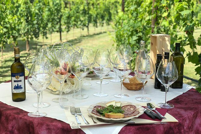 Romantic Lunch in the Vine Rows in Tuscany - Who Is This Tour Best For?