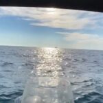 Romantic Sunset Tour in Boka Bay by Speedboat - What to Expect During the Tour