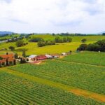 Romantic Vespa Tour and Wine Tasting - The Itinerary: What You’ll Do