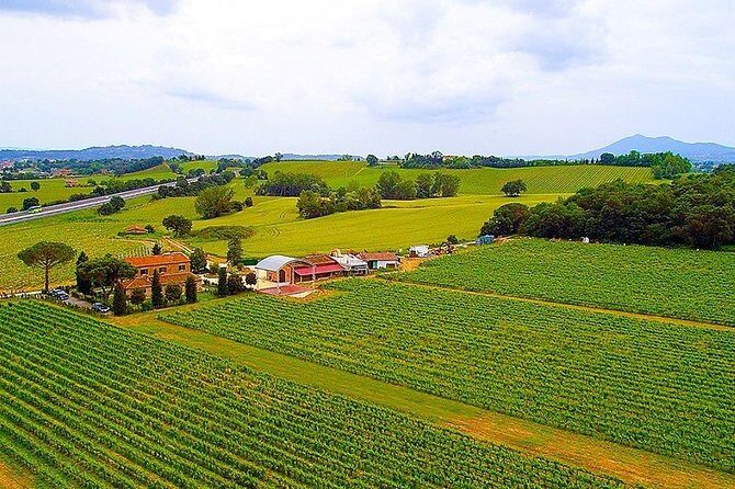 Romantic Vespa Tour and Wine Tasting - The Itinerary: What You’ll Do