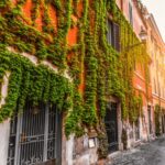 Rome: Aperitif At Sunset And Trastevere Walking Tour - Practical Details and What to Expect