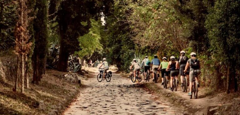 Rome: Appian Way & Roman Aqueducts Guided E-Bike Tour - Who Will Love This Tour?
