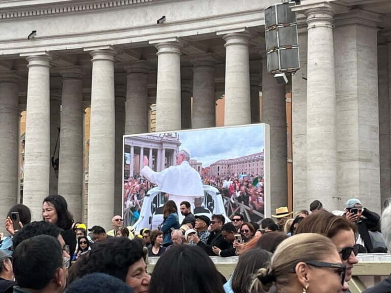 Rome: Audience Pope Leo XIV with guided tour - The Sum Up
