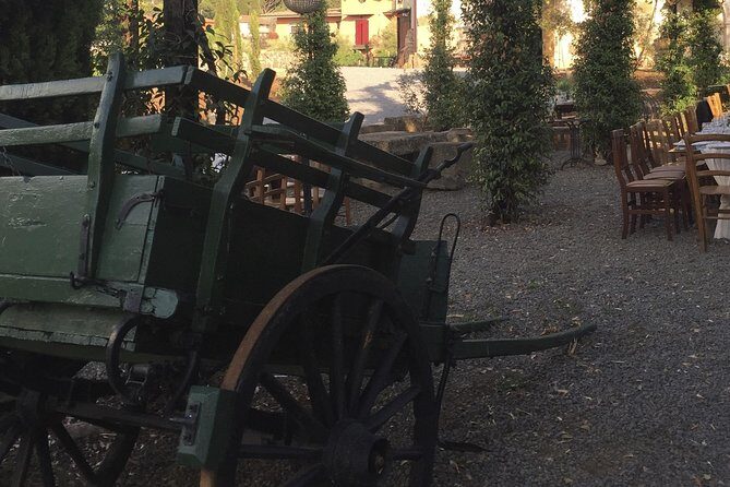 Rome - Castelli Romani Private Wine Tasting - What’s Included and How It Plays Out