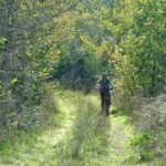 Rome: Frascati Vineyard Bike Tour with Train Tickets - What’s Included and What to Consider