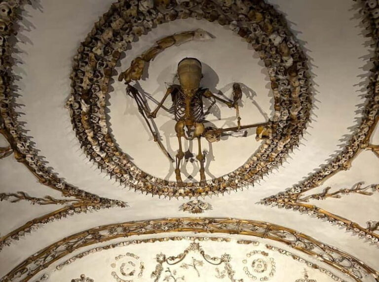 Rome: Ghosts & Bone Crypts Tours: 2 Tours, 1 Discount Ticket - Who Should Consider This Tour?