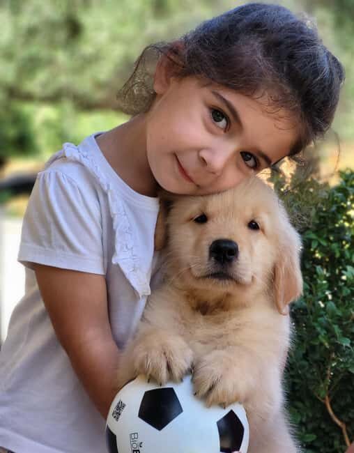 Rome: Guided Visit of a Golden Retriever and Cocker Spaniel Breeding Farm - What to Expect from the Breeding Farm Tour