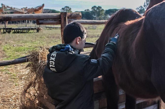Rome : Horseback Riding with meals and wine included - The Practical Details: Transportation, Duration, and Cost