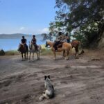 Rome: Lake Martignano Horseback Ride with Guide - What to Expect During the Ride