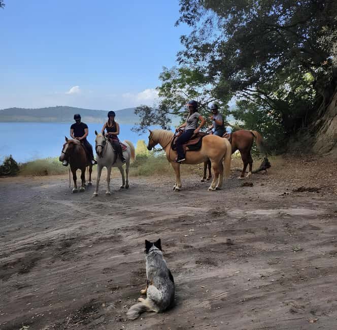 Rome: Lake Martignano Horseback Ride with Guide - What to Expect During the Ride