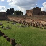 Rome: Roman Forum & Palatine Hill Tour - The Practicalities: Logistics and Experience