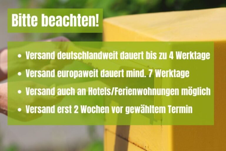 Rome: Scavenger Hunt Self-Guided Tour - What to Expect During the Walk