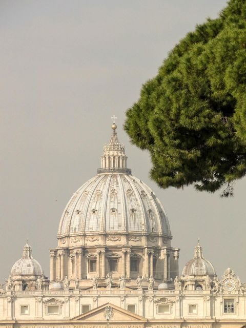 Rome: St. Peter's Basilica Guided Tour with access to Dome - Practical Details: What You Need to Know