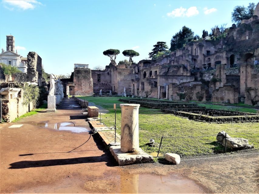 Rome: Vatican & Colosseum Experience with Lunch & Transfers - The Itinerary: What You’ll See and Experience