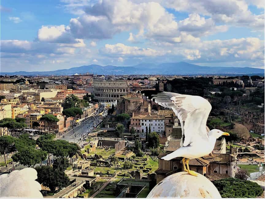 Rome: Vatican, Colosseum & Main Squares Tour w/ Lunch & Car - Real Experiences from Travelers