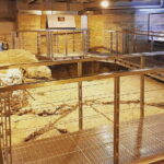 Rome: Vatican Necropolis and Via Triumphalis Guided Tour - The Experience of the Tour