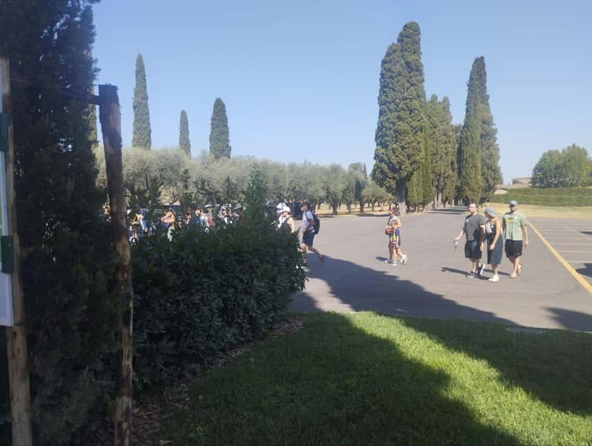 Rome: Walking Tour to the Catacombs of Saint Callixtus - What Makes This Tour Worth Considering