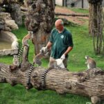 Rome: Zoo entry ticket + Villa Borghese Golf Cart Tour - Skip-the-Line Entry to Bioparco di Roma