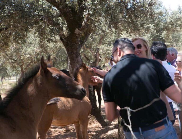 Ronda: Entrance to Reservatauro Ronda - Final Thoughts