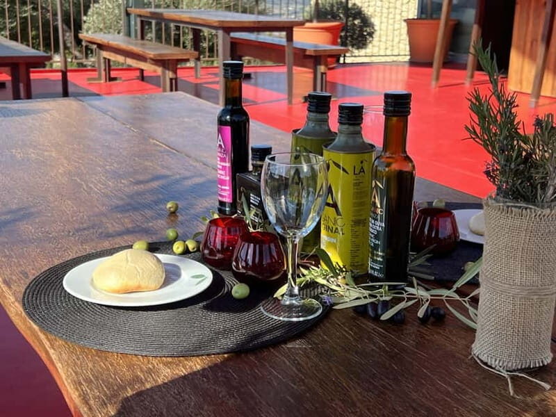 Ronda: LA Almazara LA Organic, Olive Oil Museum and Tasting - A Deep Dive into the Experience