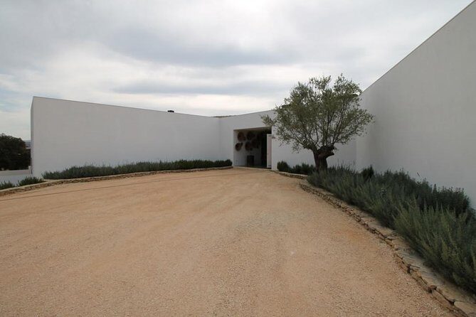 Ronda Private Full Day Wine Tour - Final Thoughts