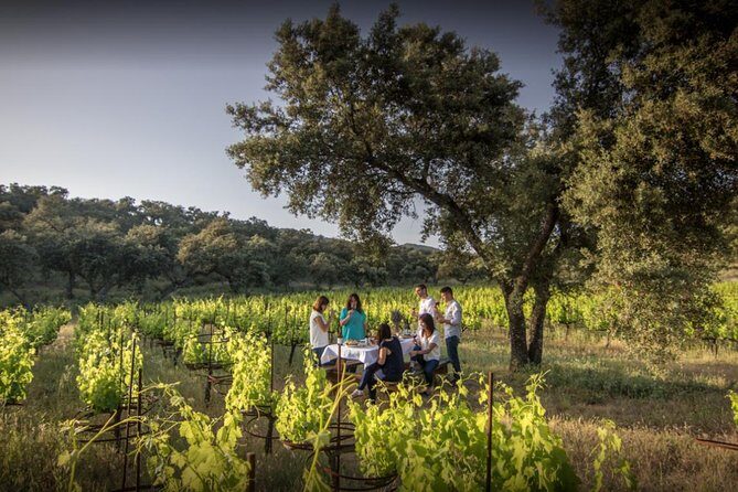 Ronda Private Wine Tour and Tapas from Marbella - What Makes This Tour Stand Out