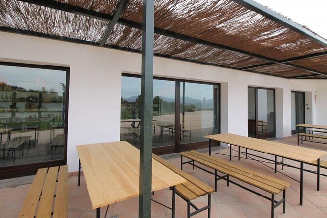 Ronda Private Wine Tour + Free Time in Ronda - Who Is This Tour For?