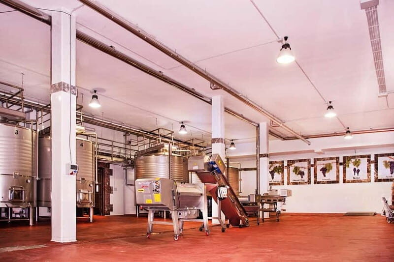 Ronda: Winery Tour with Wine Tasting and Tapas - The Wines and Tapas