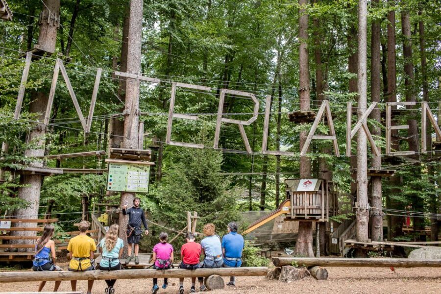 Rope Park Interlaken: Climbing Adventure with Entry Ticket - Authentic Voices from Visitors