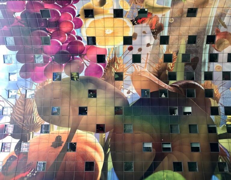 Rotterdam 2-Hour Grand Walking Tour - The Experience: What’s Included and How it Feels