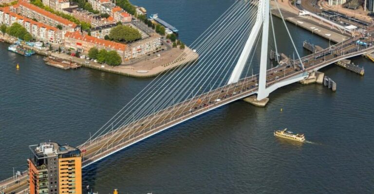 Rotterdam and Kinderdijk Daily Walking and Boat Tour - Navigating to Kinderdijk: A Step Back in Time