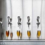 Rotterdam: Beer Brewery 'Noordt' Beer Tasting - The Quality and Flavor of Noordt Beers