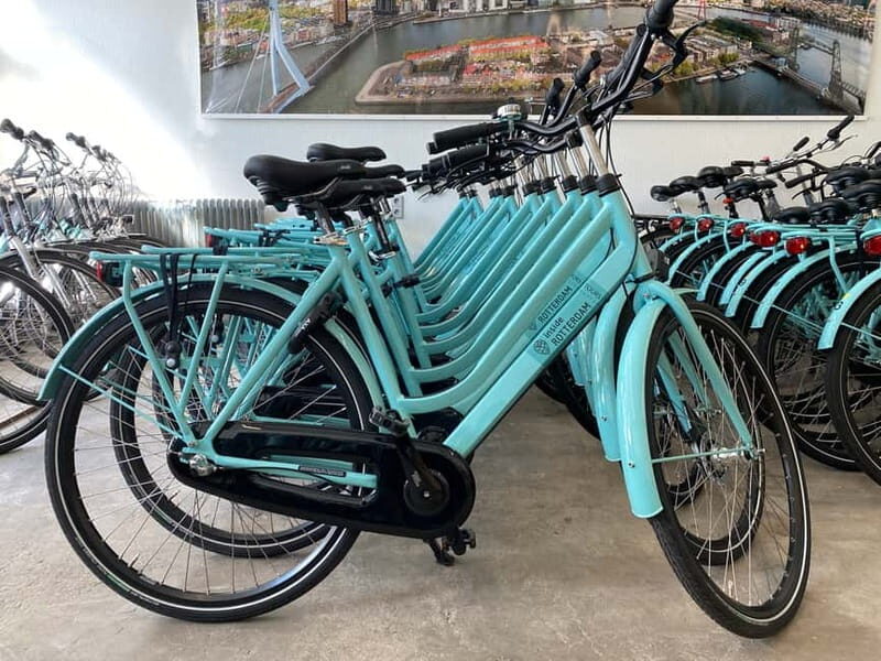 Rotterdam: City Highlights Guided Bike Tour - The Highlights: What Youll See and Do