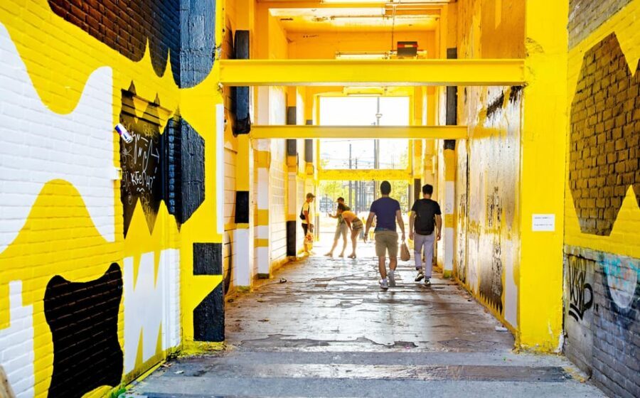 Rotterdam: & Delft: Day-trip tour with local guide - Analyzing the Value