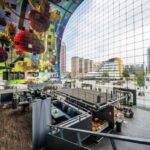 Rotterdam & Haarlem: Private Full-Day Tour from Amsterdam - What Makes This Tour Stand Out?