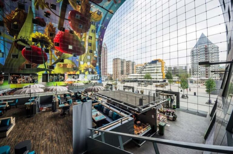 Rotterdam & Haarlem: Private Full-Day Tour from Amsterdam - What Makes This Tour Stand Out?