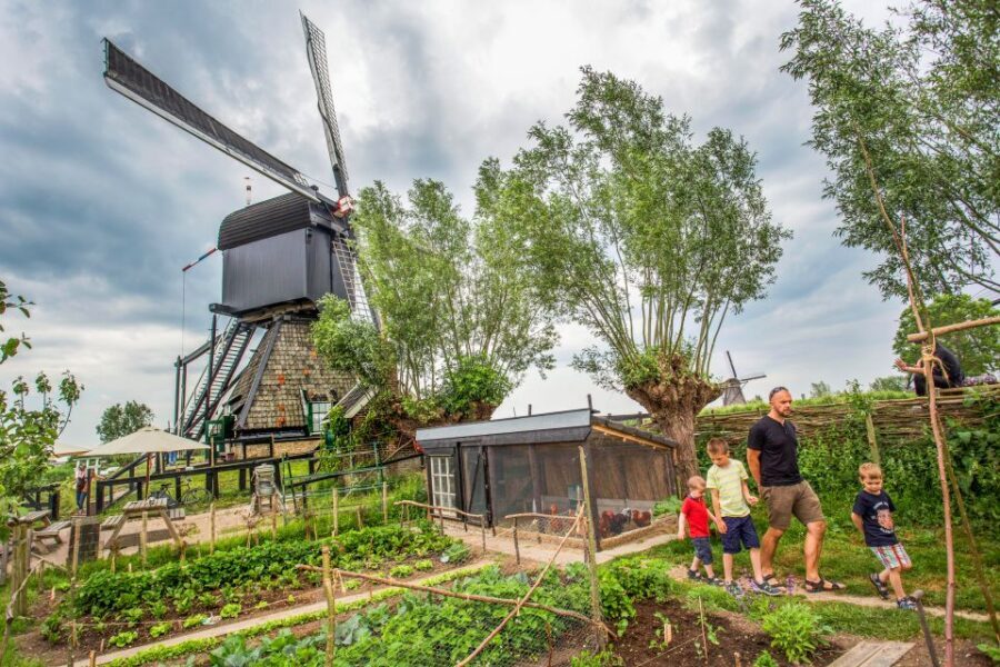 Rotterdam: Kinderdijk UNESCO World Heritage Entry Ticket - The Boat Tour: A Relaxing View of the Landscape