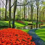 Rotterdam: Private Sightseeing Tour Keukenhof & Tulip fields - In-Depth Look at the Itinerary