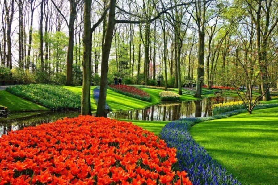 Rotterdam: Private Sightseeing Tour to Keukenhof - What to Expect on Your Keukenhof Tour