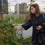 Rotterdam Travel to the Future Walking Tour - Authentic Traveler Feedback