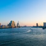 Rotterdam Walking Tour and Harbor Cruise - Highlights of the Tour