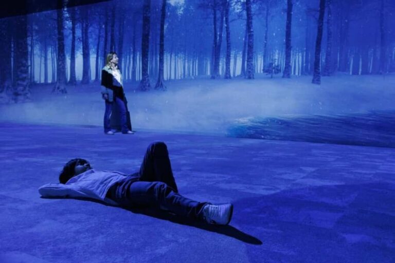 Rouen : Museum Immersive Viking Experience - Who Should Consider This Tour?