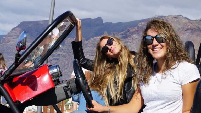 Round-Trip Coastal Buggy Tour in Tenerife - Who Should Consider This Tour?